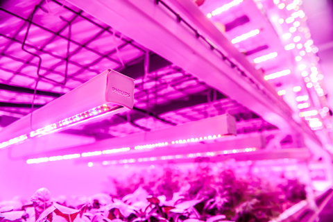飛利浦LED“光配方”助力GSF優化農作物的產量和質量_1