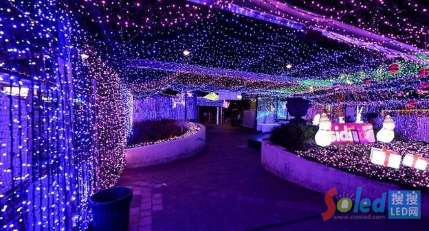 LED彩燈〝圣誕仙境〞