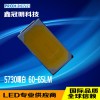 5730LED ~֧ 60-65LM Sl