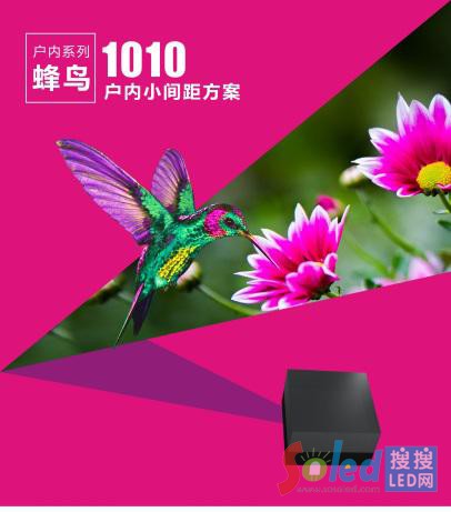 ИI피1010