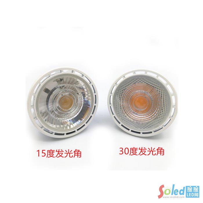 睿亮PAR30 31W